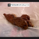 An ugly, American girl takes a shit for the camera in this close-up and nasty video clip.